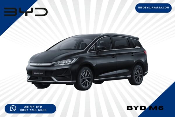 BYD M6